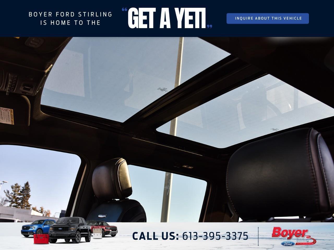 2020 Ford F-250 Platinum ONE OWNER, LOCAL TRADE! Photo