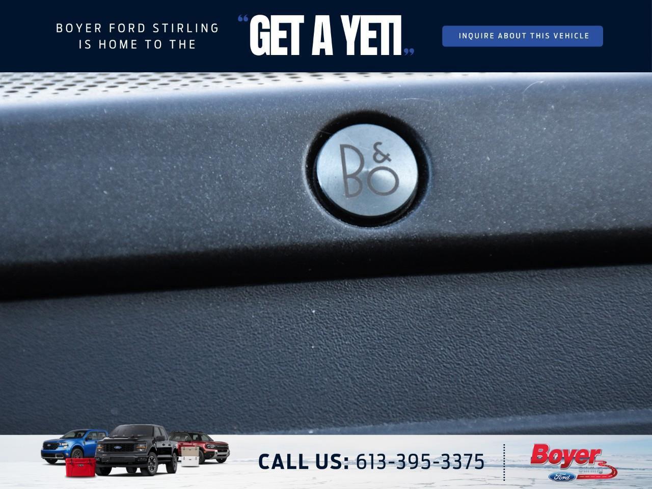 2020 Ford F-250 Platinum ONE OWNER, LOCAL TRADE! Photo