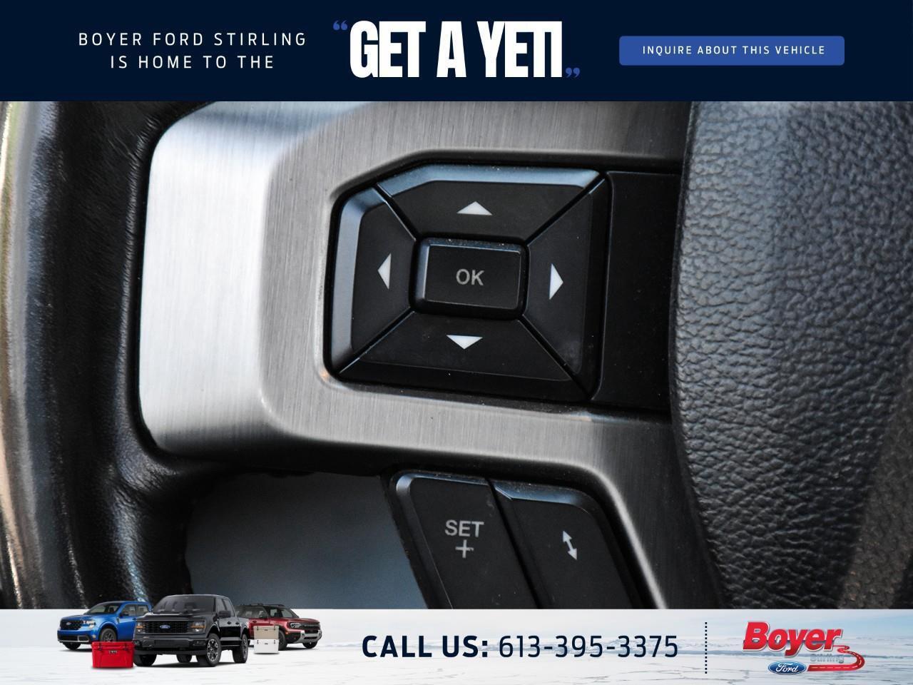 2020 Ford F-250 Platinum ONE OWNER, LOCAL TRADE! Photo