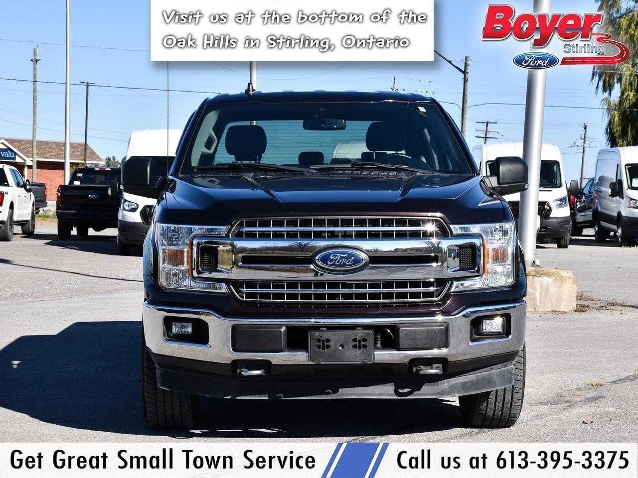 2019 Ford F-150 XLT 5.0L, REMOTE START! Photo