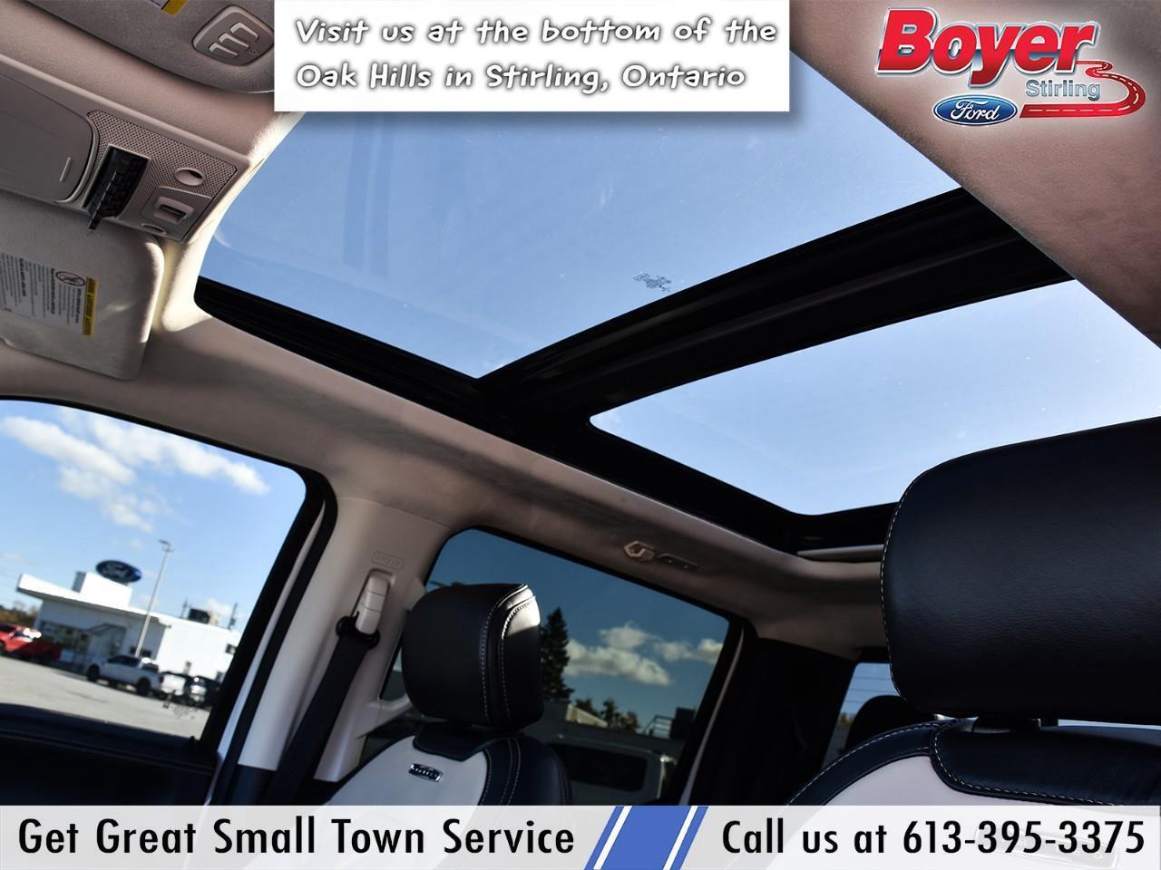 2020 Ford F-250 Limited CLEAN CARFAX, LOCAL TRADE! Photo