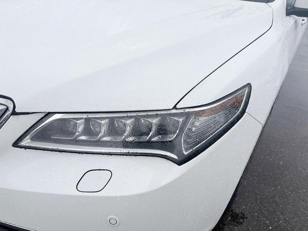 2016 Acura TLX Elite Photo