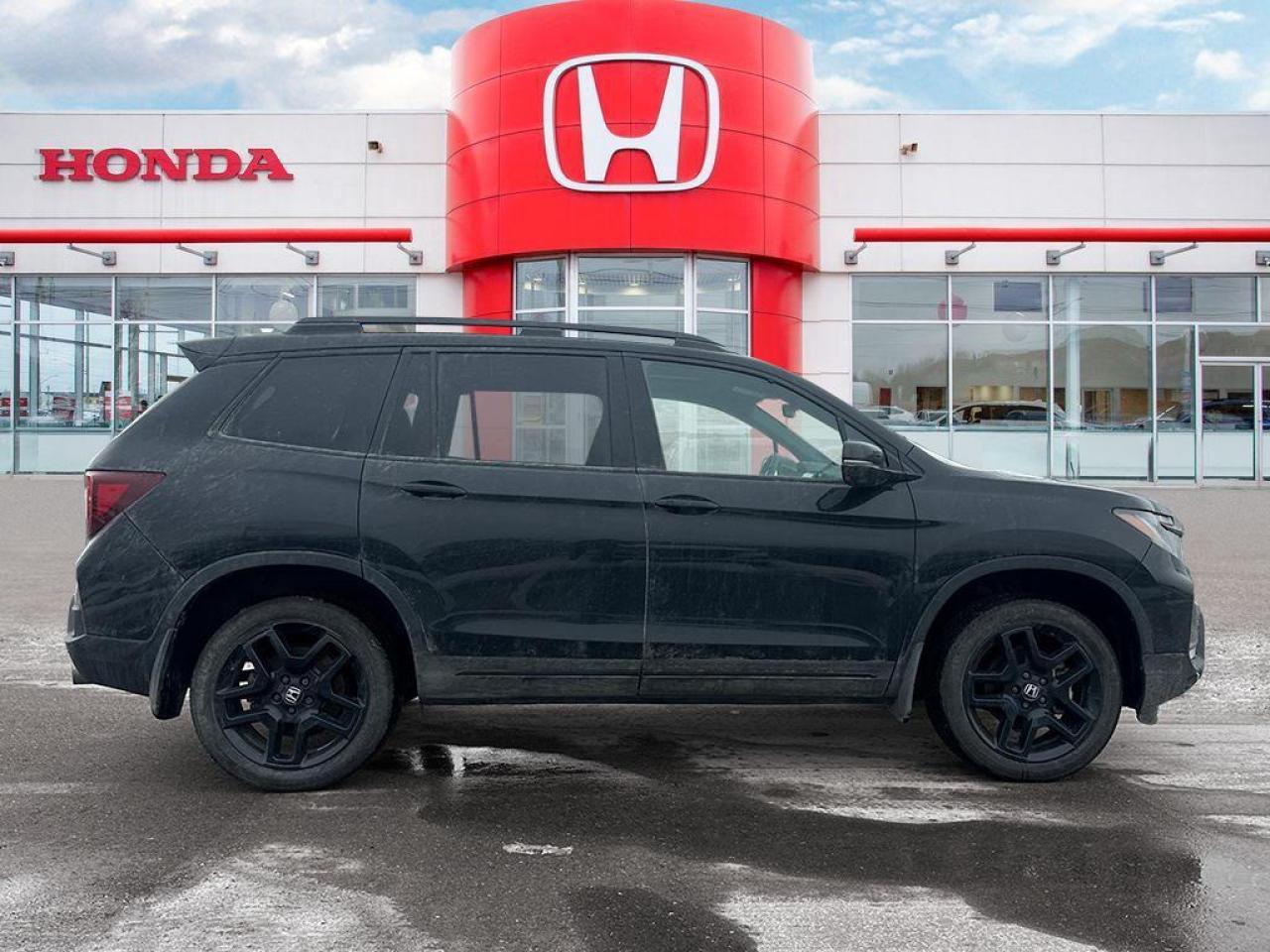 2025 Honda Passport Black Edition Photo