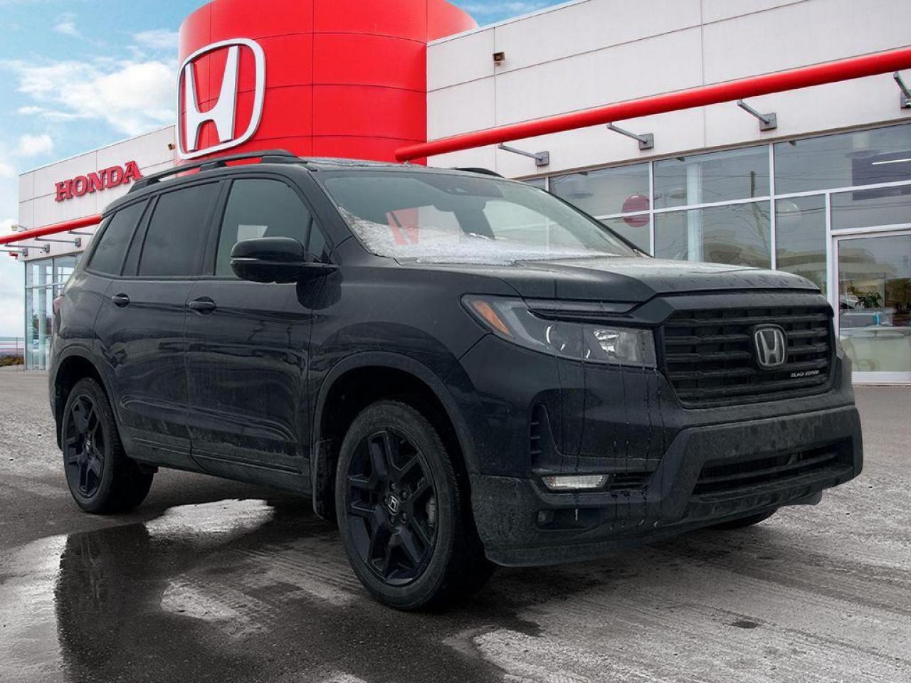 2025 Honda Passport Black Edition Photo