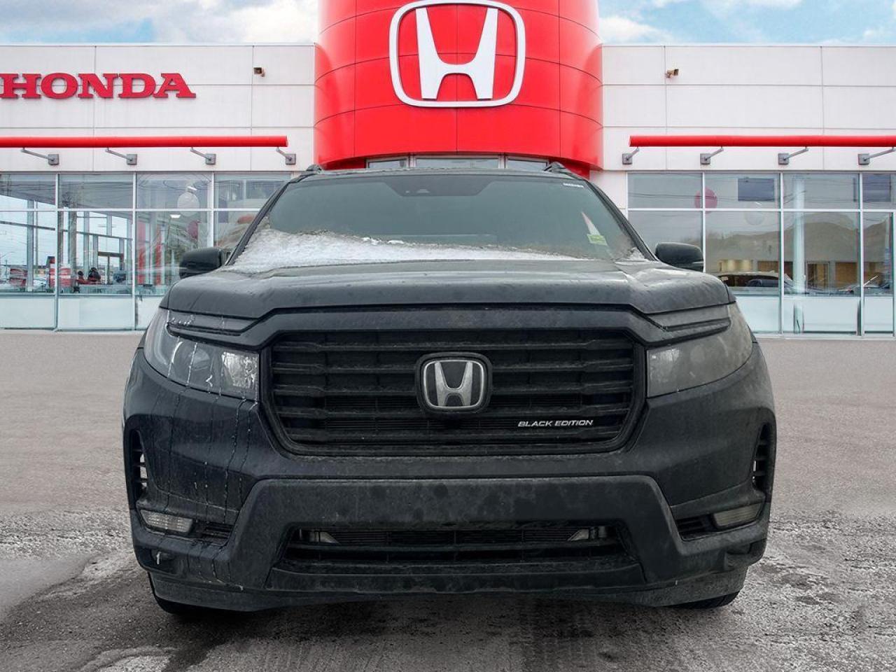 2025 Honda Passport Black Edition Photo