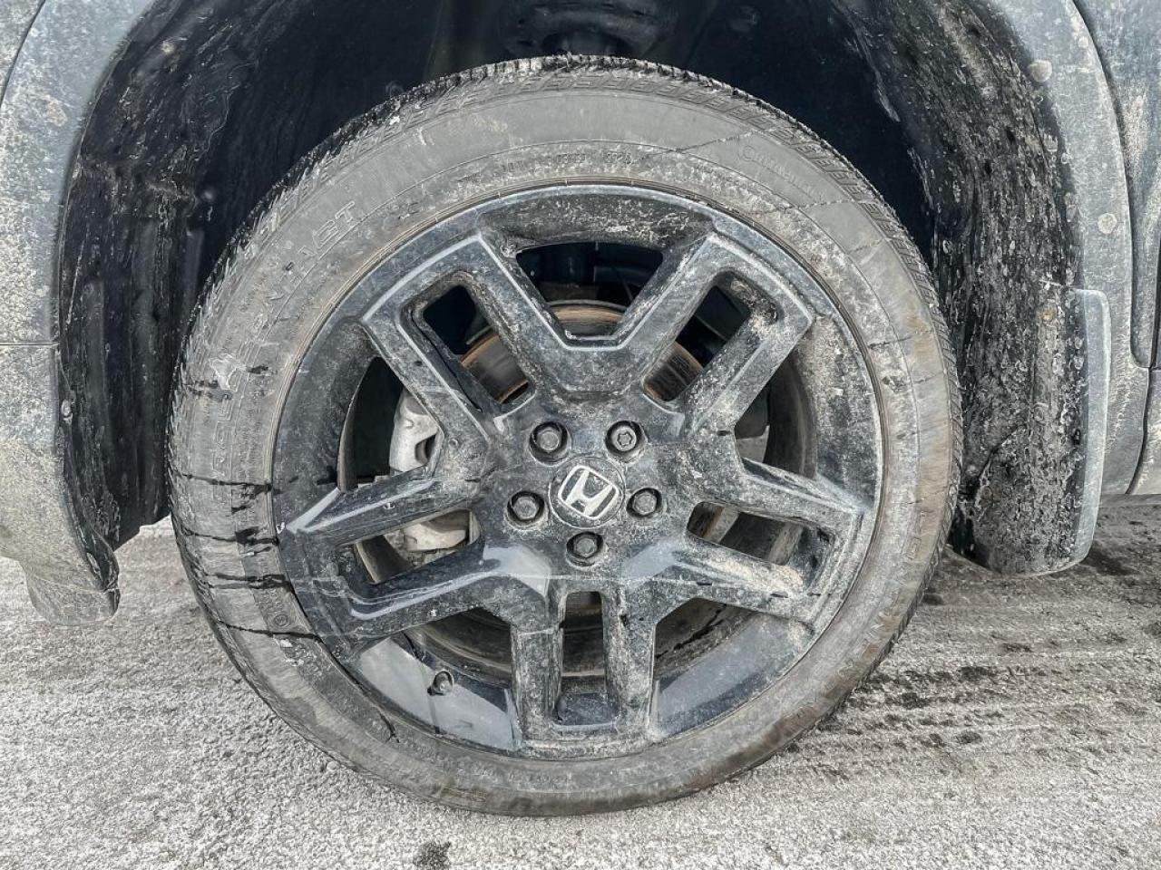 2025 Honda Passport Black Edition Photo