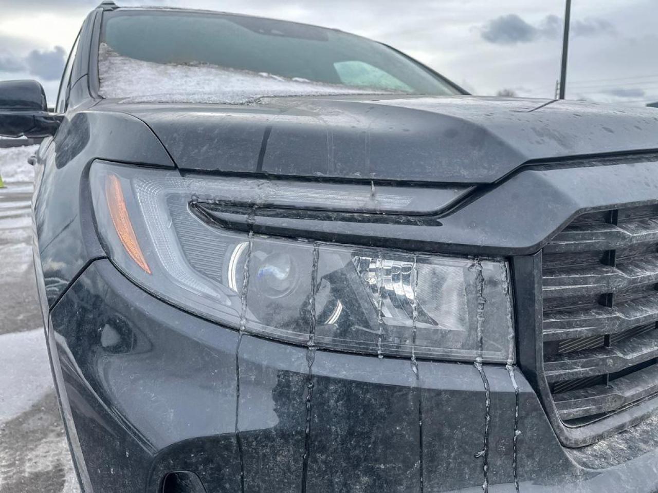 2025 Honda Passport Black Edition Photo