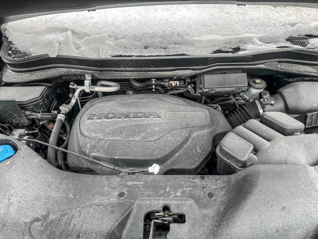 2025 Honda Passport Black Edition Photo