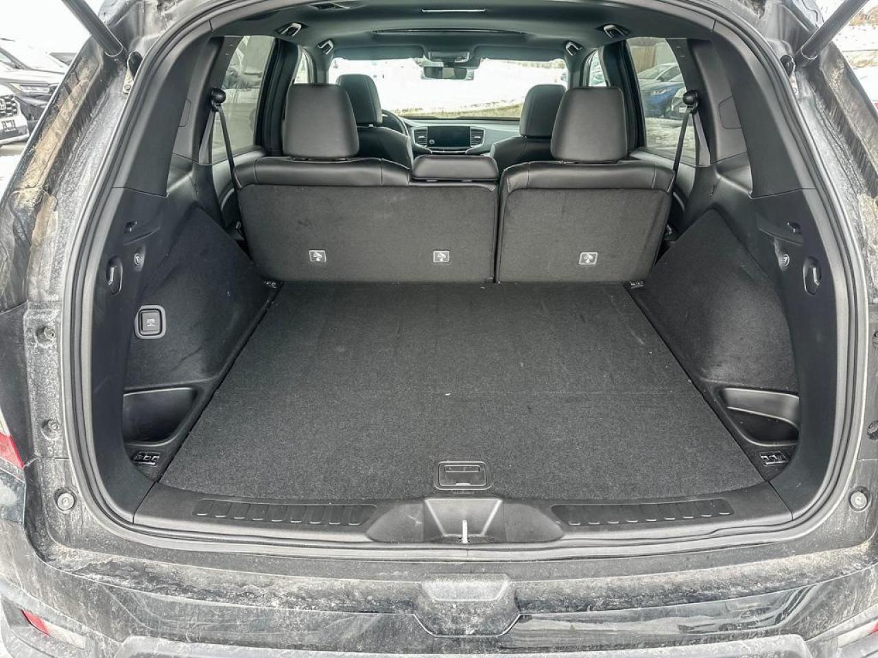 2025 Honda Passport Black Edition Photo