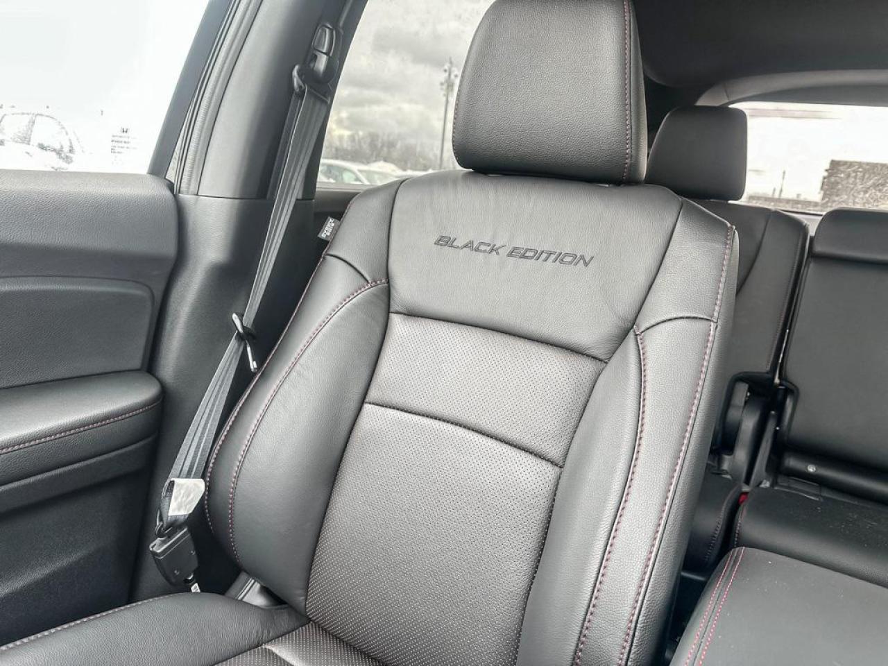 2025 Honda Passport Black Edition Photo