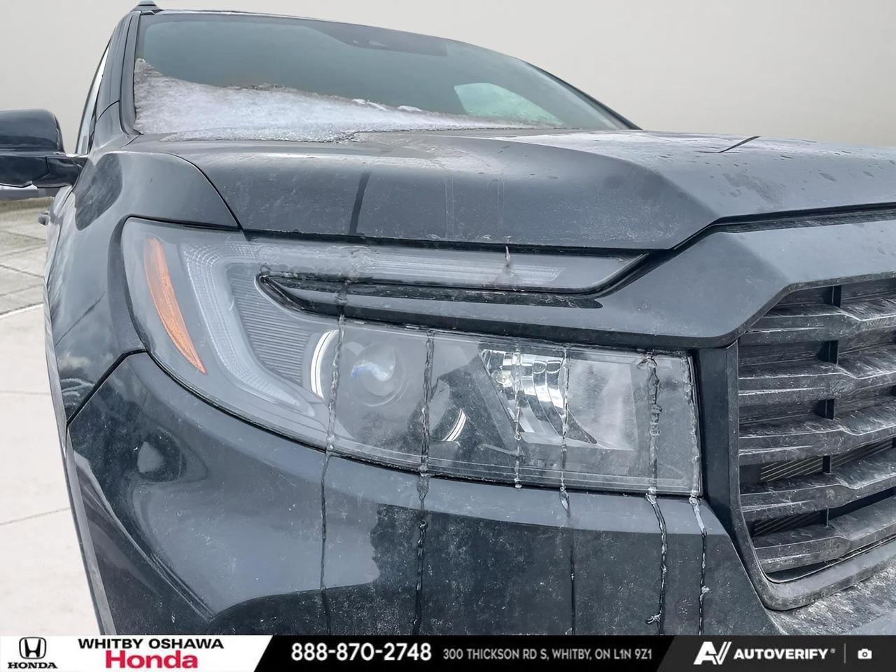 2025 Honda Passport Navigation System l Heated Seats Photo