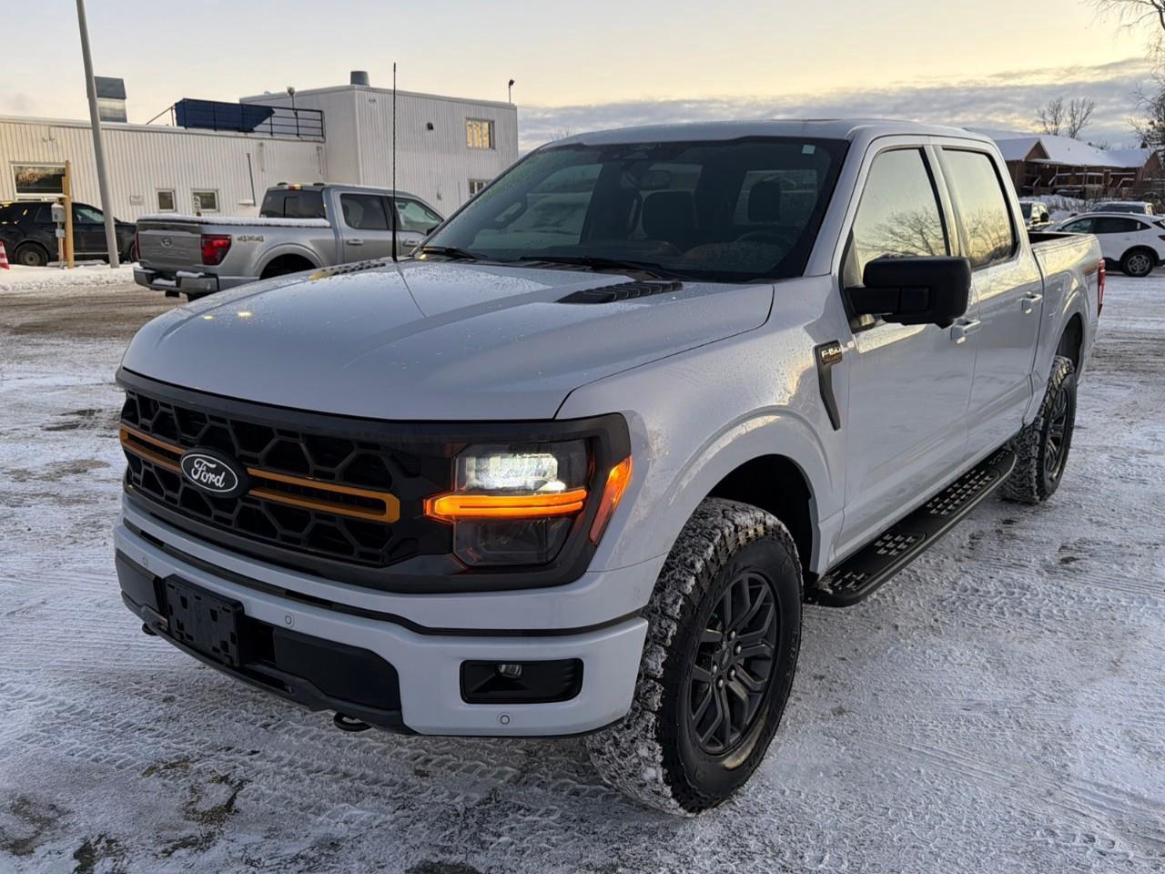 2025 Ford F-150 Tremor MOONROOF,POWER GATE,MATS ,TINT! Photo0