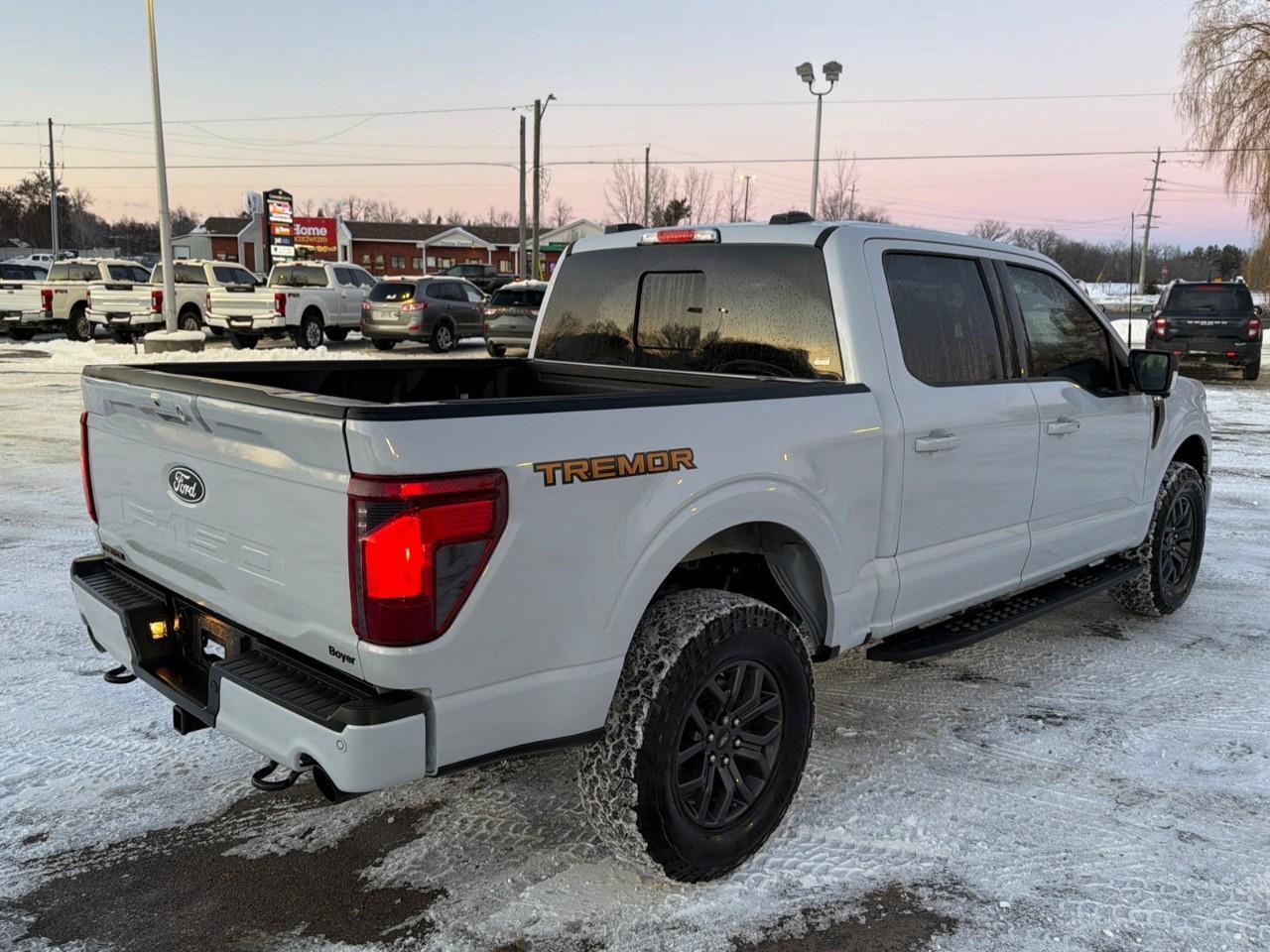 2025 Ford F-150 Tremor MOONROOF,POWER GATE,MATS ,TINT! Photo4