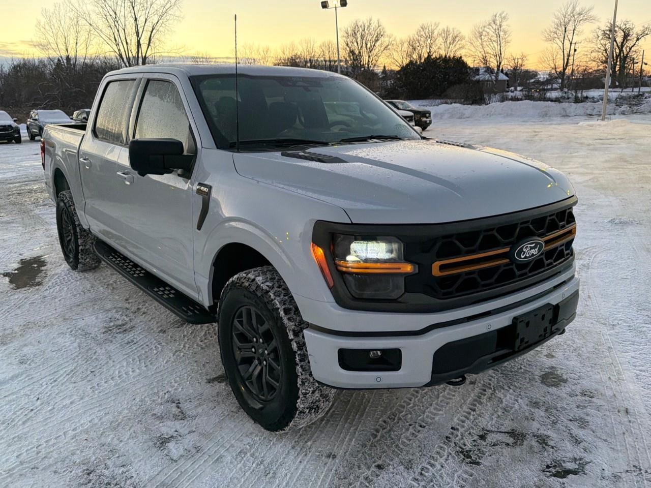 2025 Ford F-150 Tremor MOONROOF,POWER GATE,MATS ,TINT! Photo
