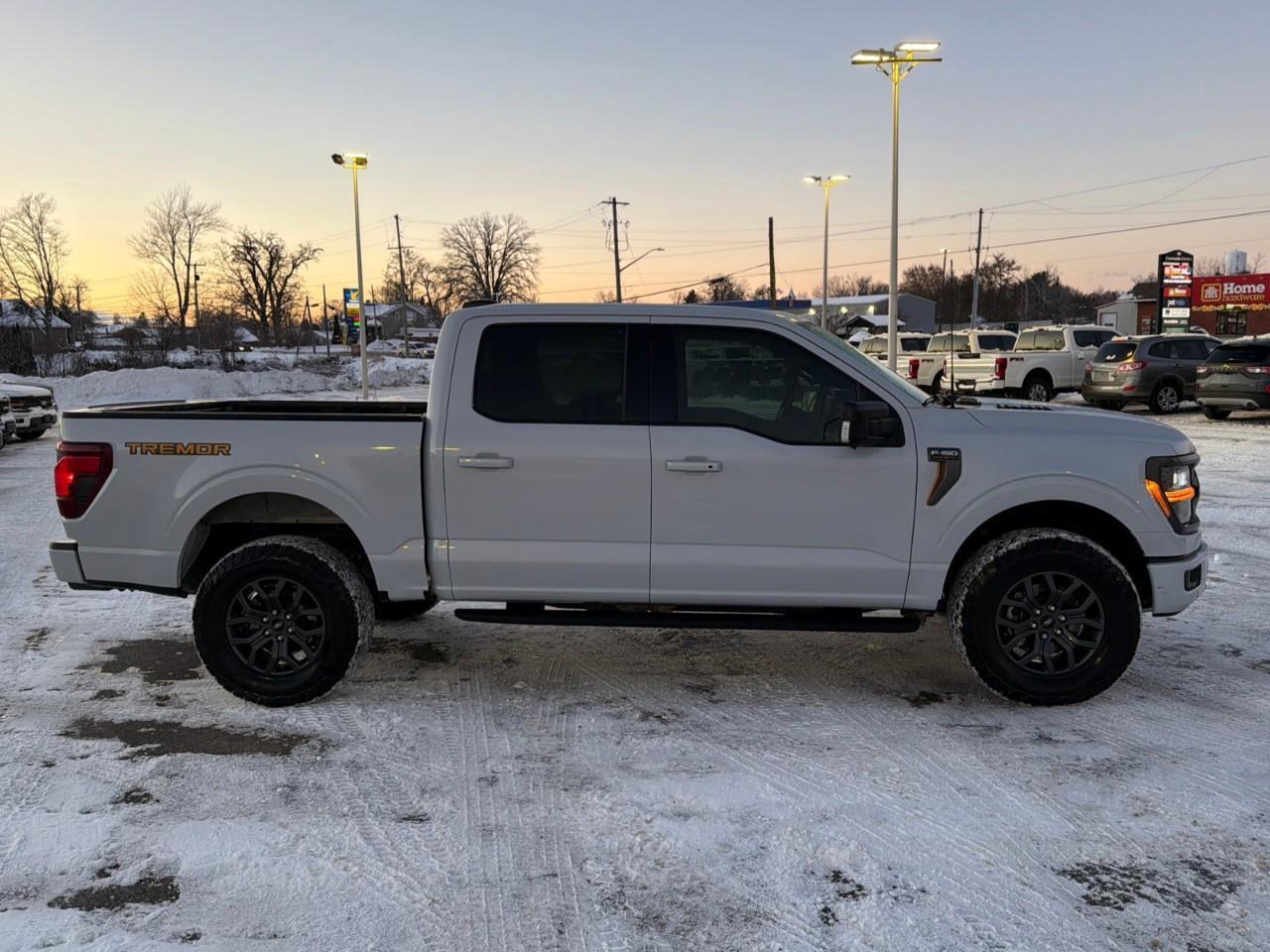 2025 Ford F-150 Tremor MOONROOF,POWER GATE,MATS ,TINT! Photo