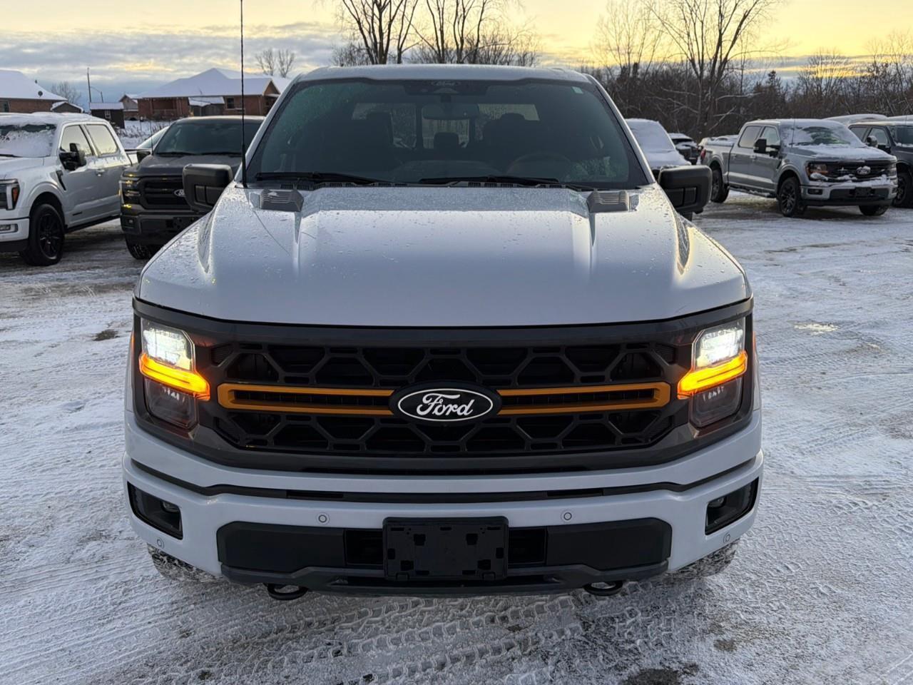 2025 Ford F-150 Tremor MOONROOF,POWER GATE,MATS ,TINT! Photo