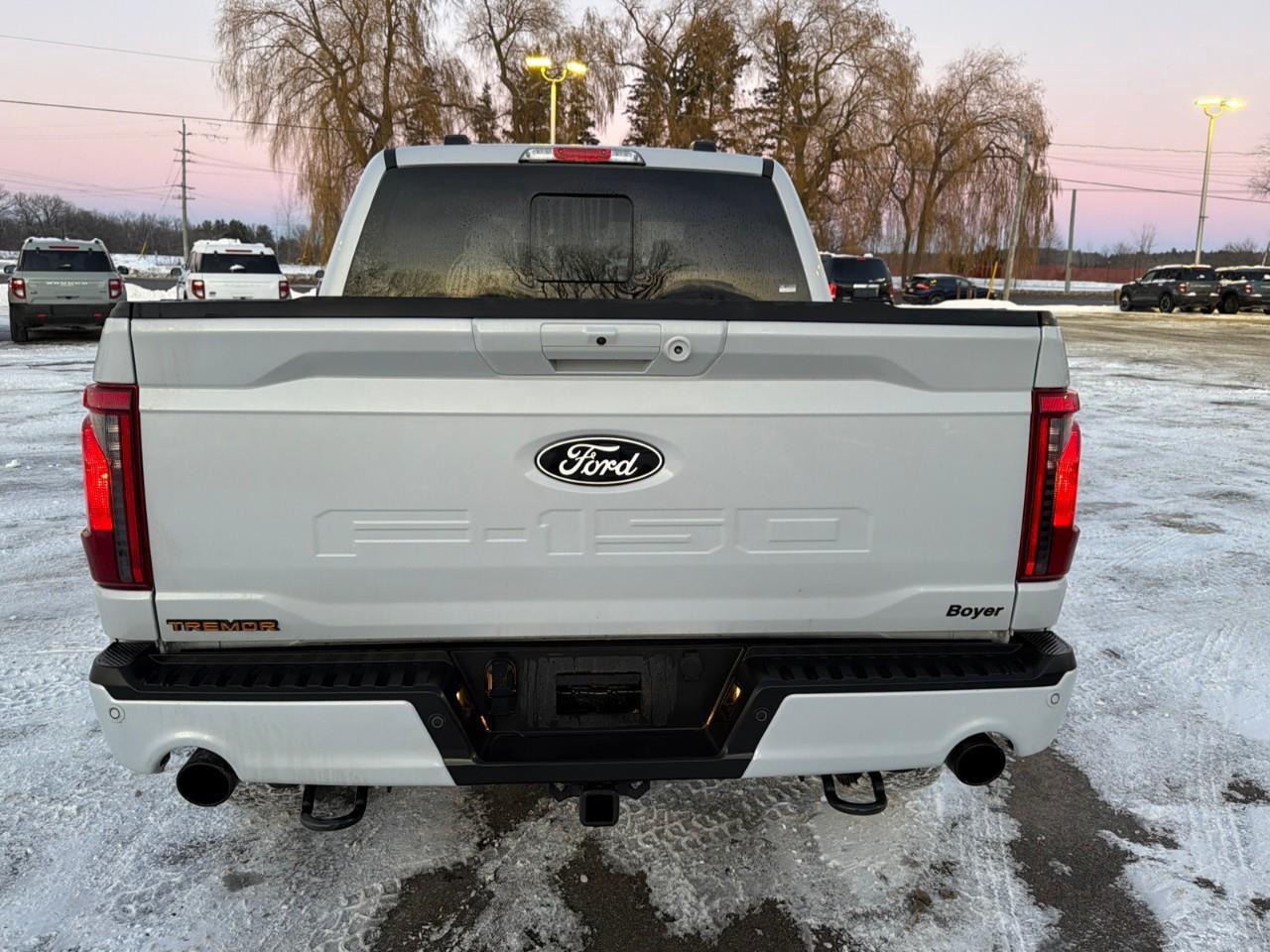 2025 Ford F-150 Tremor MOONROOF,POWER GATE,MATS ,TINT! Photo