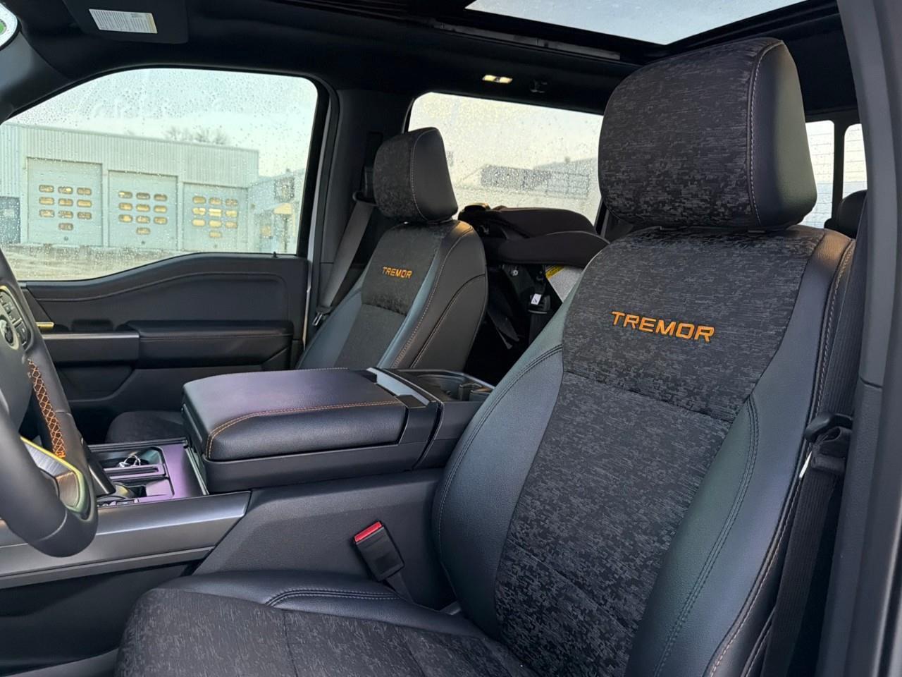 2025 Ford F-150 Tremor MOONROOF,POWER GATE,MATS ,TINT! Photo