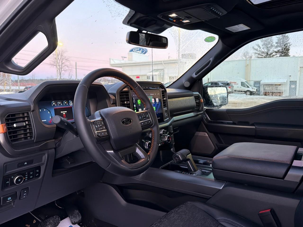 2025 Ford F-150 Tremor MOONROOF,POWER GATE,MATS ,TINT! Photo