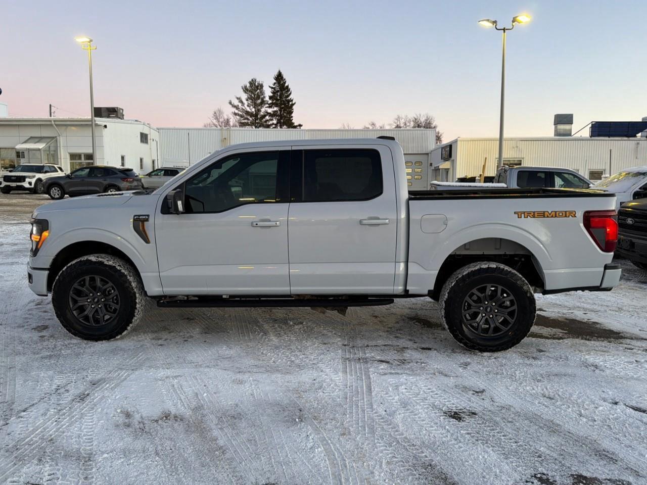2025 Ford F-150 Tremor MOONROOF,POWER GATE,MATS ,TINT! Photo