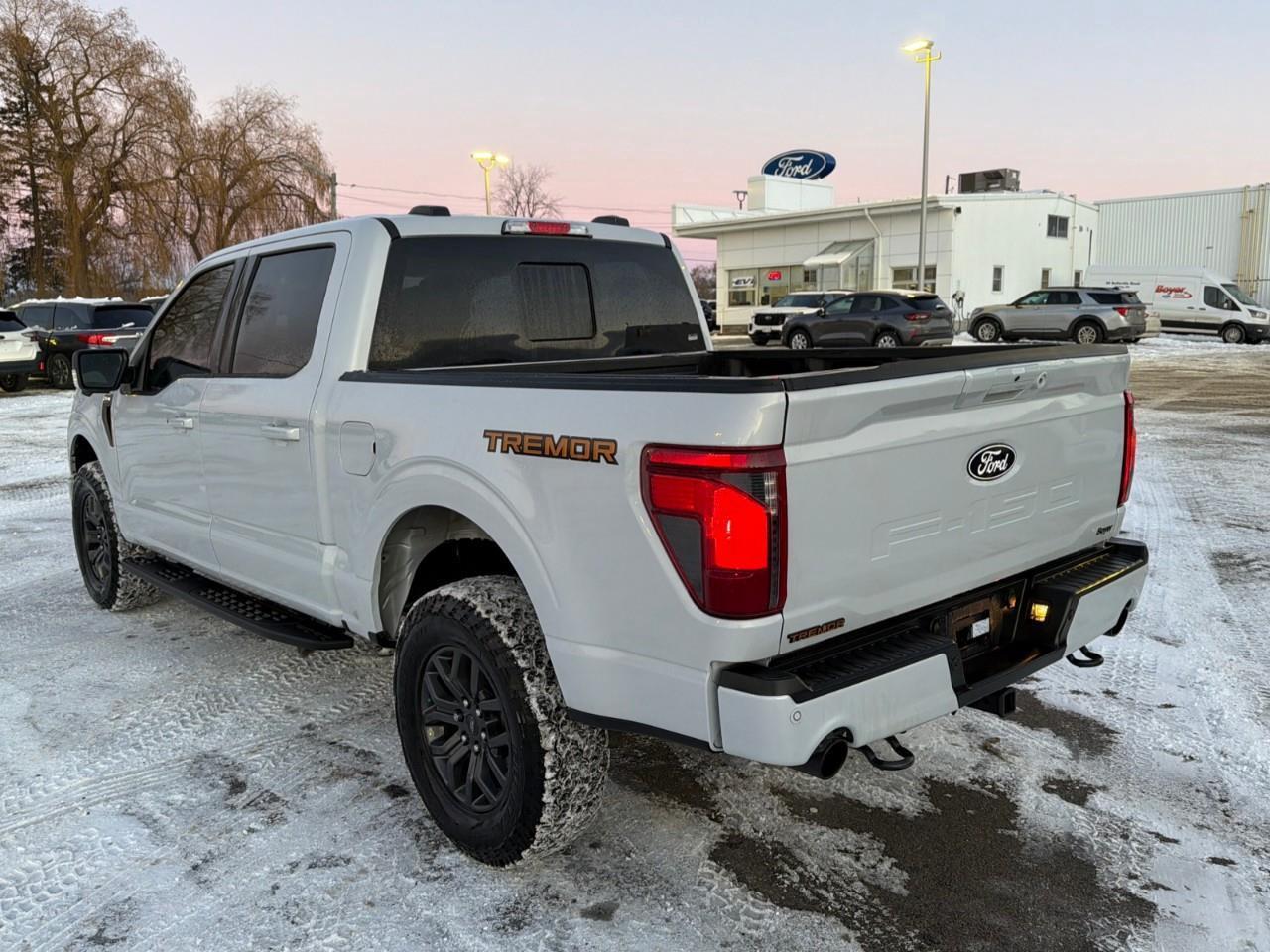 2025 Ford F-150 Tremor MOONROOF,POWER GATE,MATS ,TINT! Photo