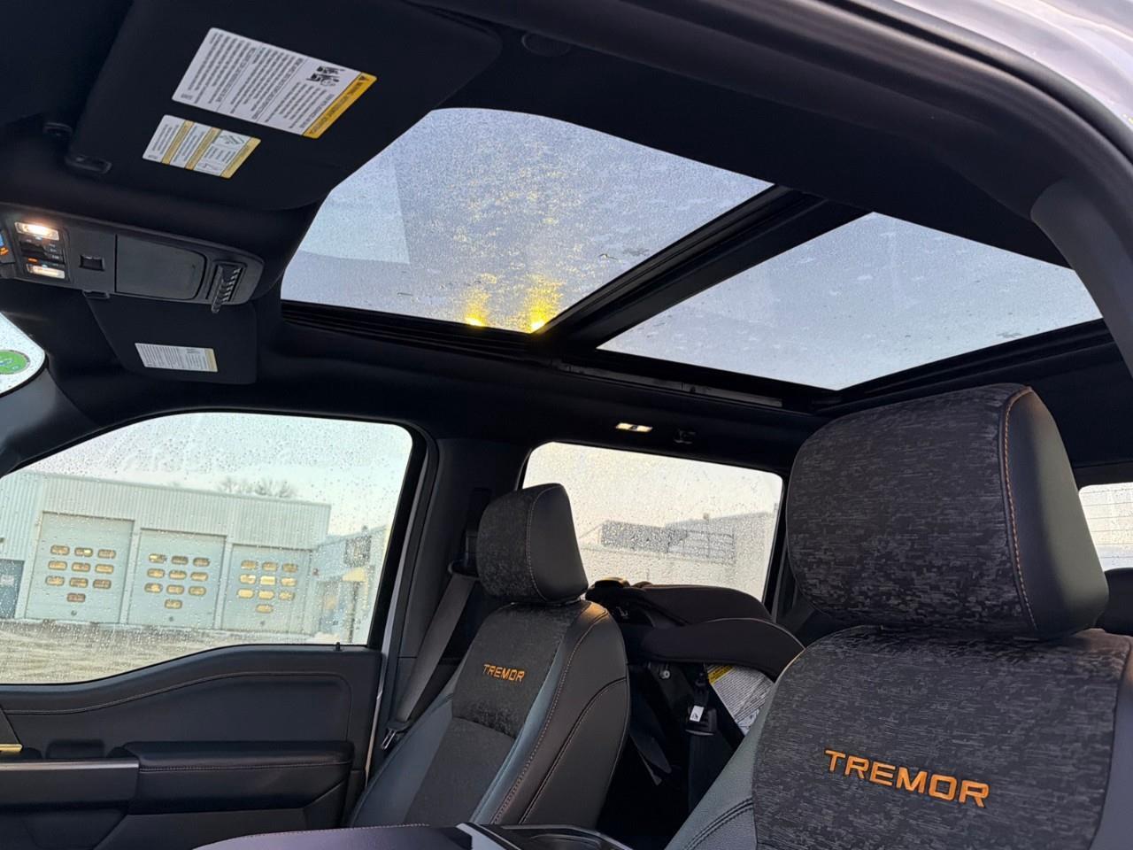 2025 Ford F-150 Tremor MOONROOF,POWER GATE,MATS ,TINT! Photo