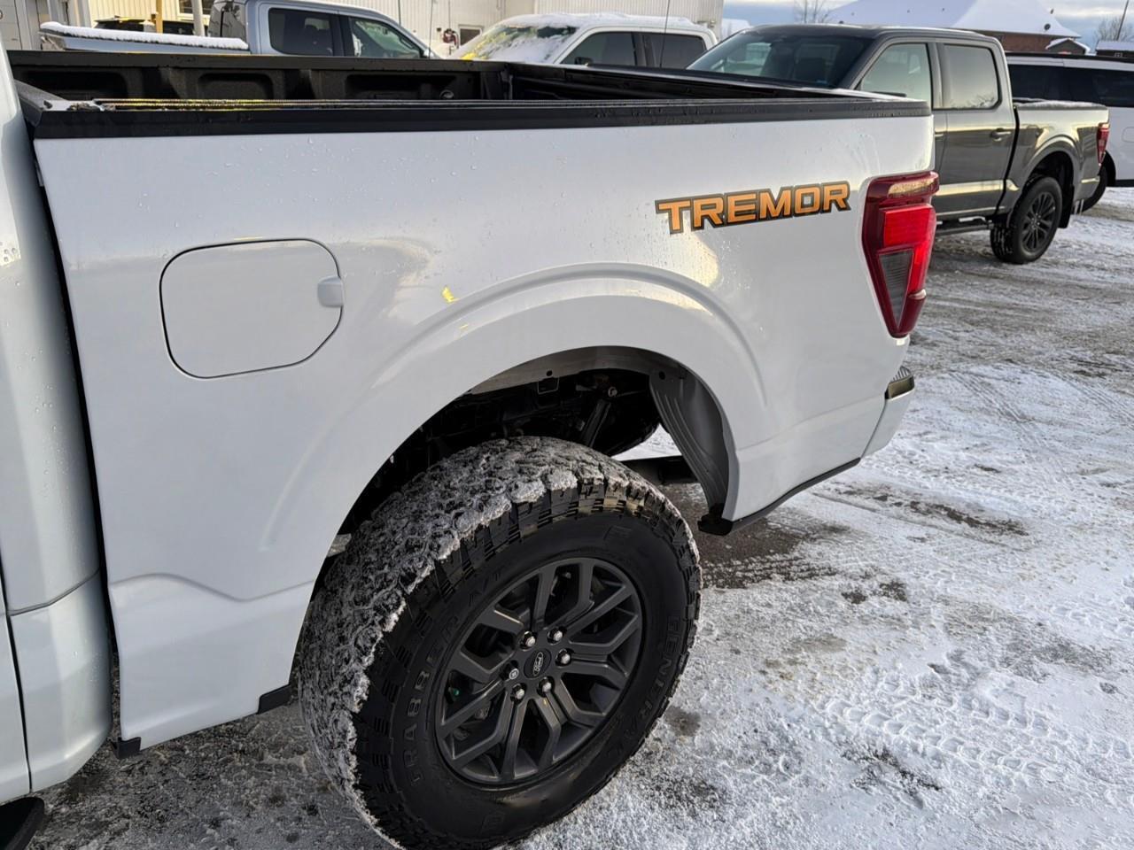 2025 Ford F-150 Tremor MOONROOF,POWER GATE,MATS ,TINT! Photo