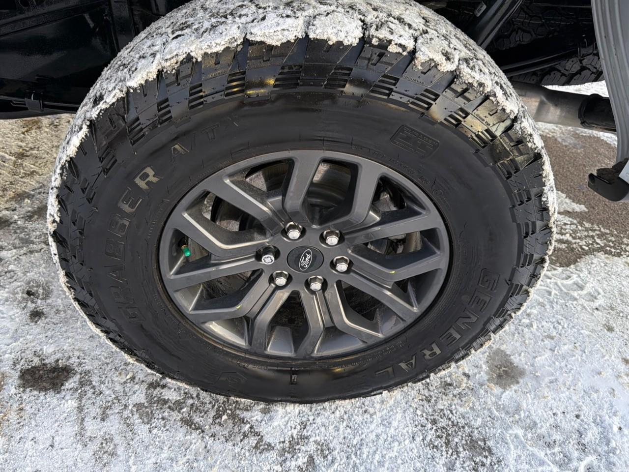 2025 Ford F-150 Tremor MOONROOF,POWER GATE,MATS ,TINT! Photo