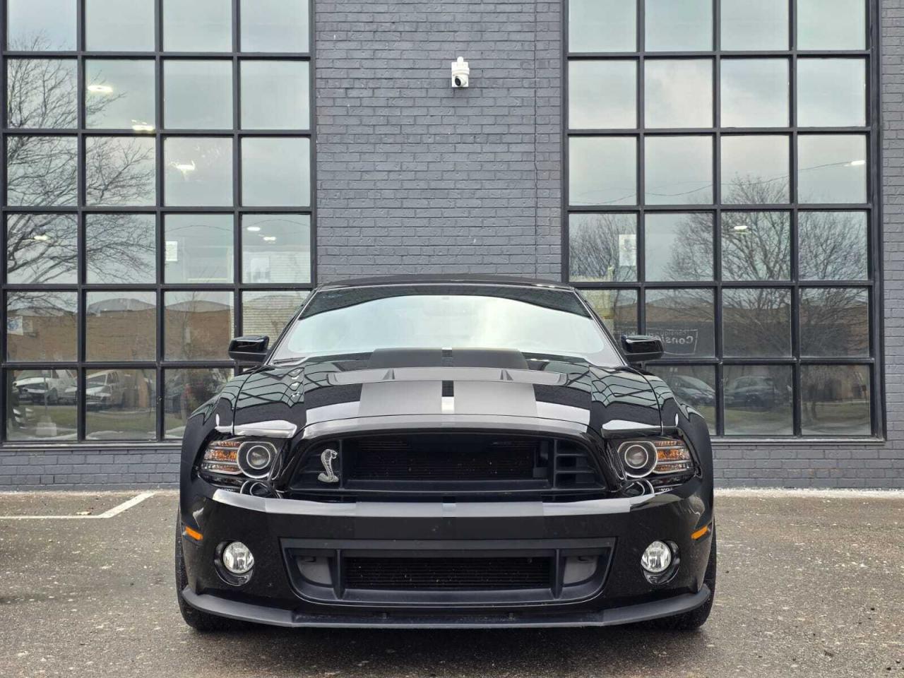 2014 Ford Mustang 2dr Conv Shelby GT500 Photo