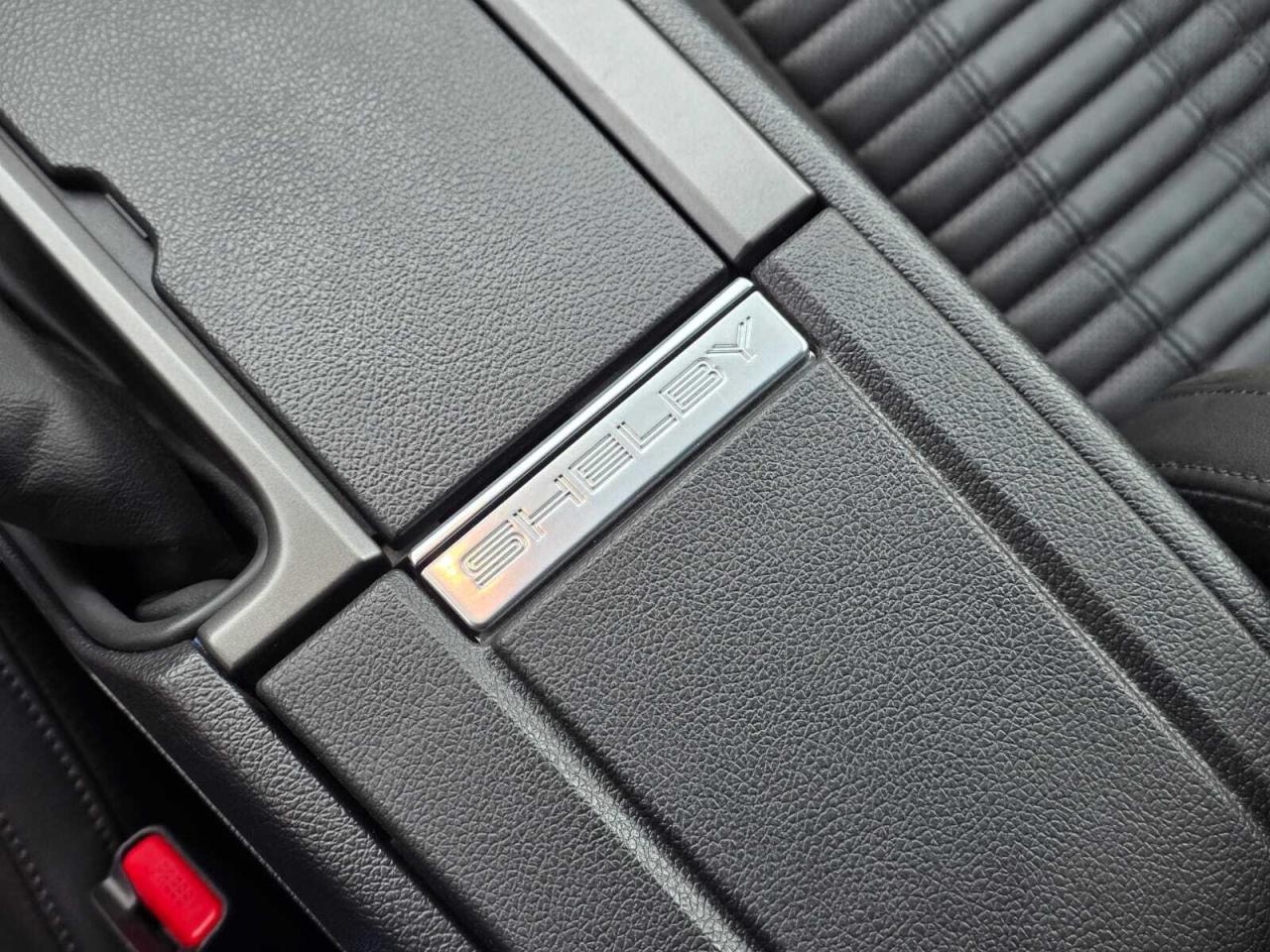 2014 Ford Mustang 2dr Conv Shelby GT500 Photo