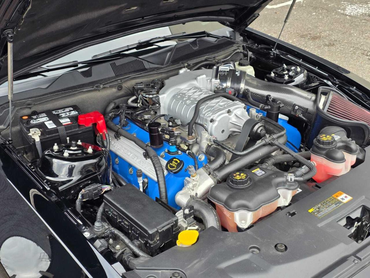 2014 Ford Mustang 2dr Conv Shelby GT500 Photo