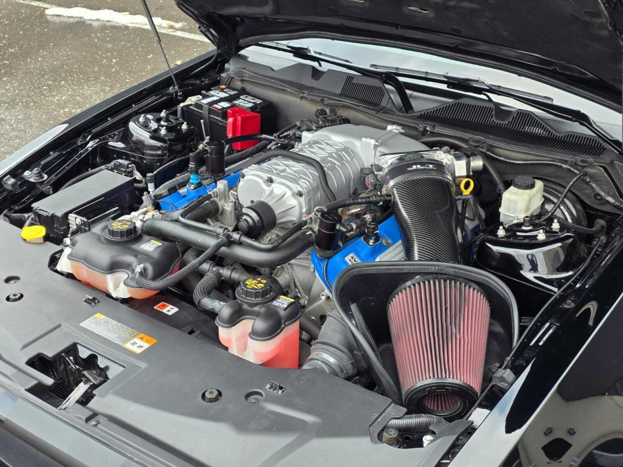 2014 Ford Mustang 2dr Conv Shelby GT500 Photo