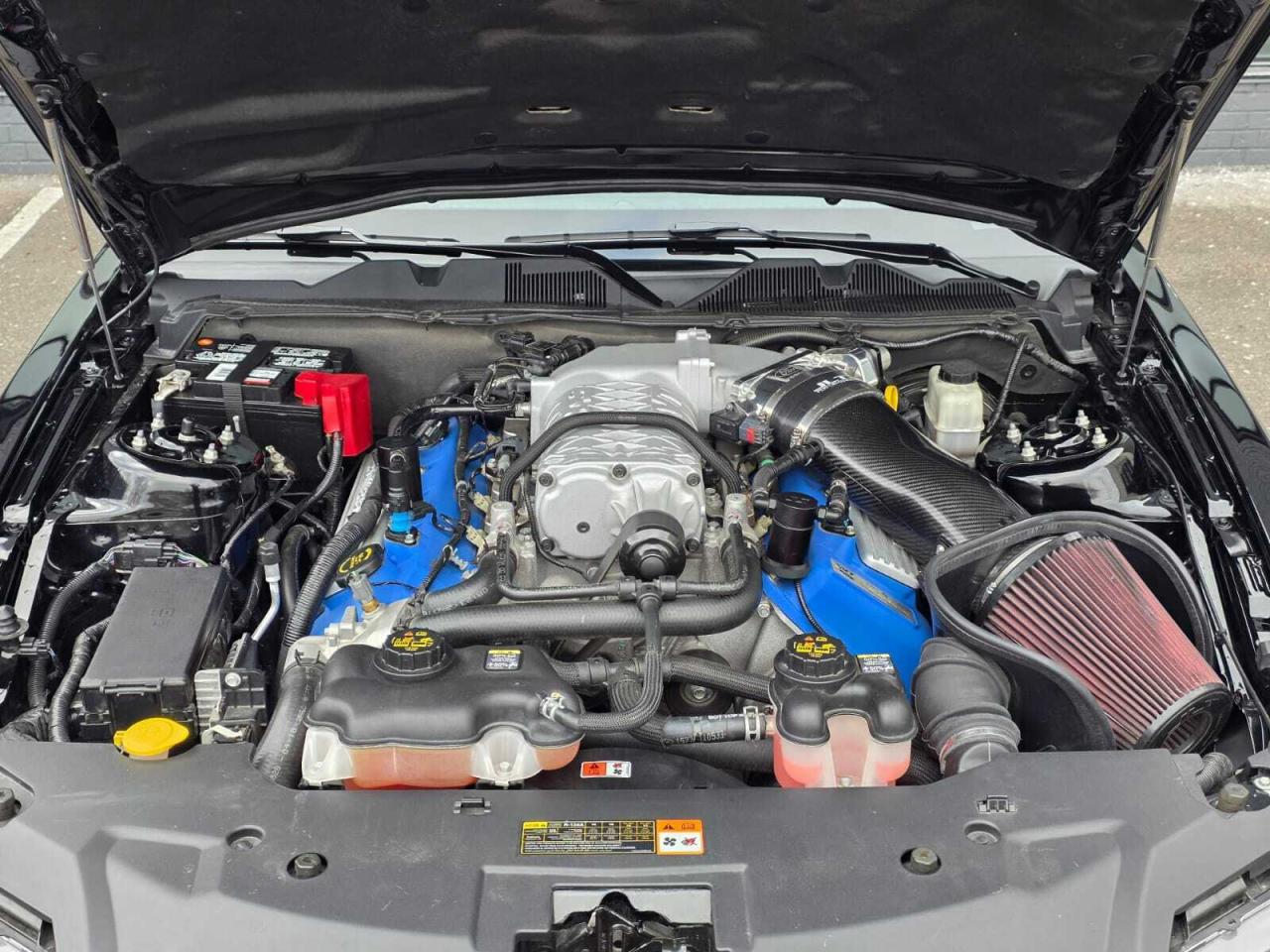 2014 Ford Mustang 2dr Conv Shelby GT500 Photo