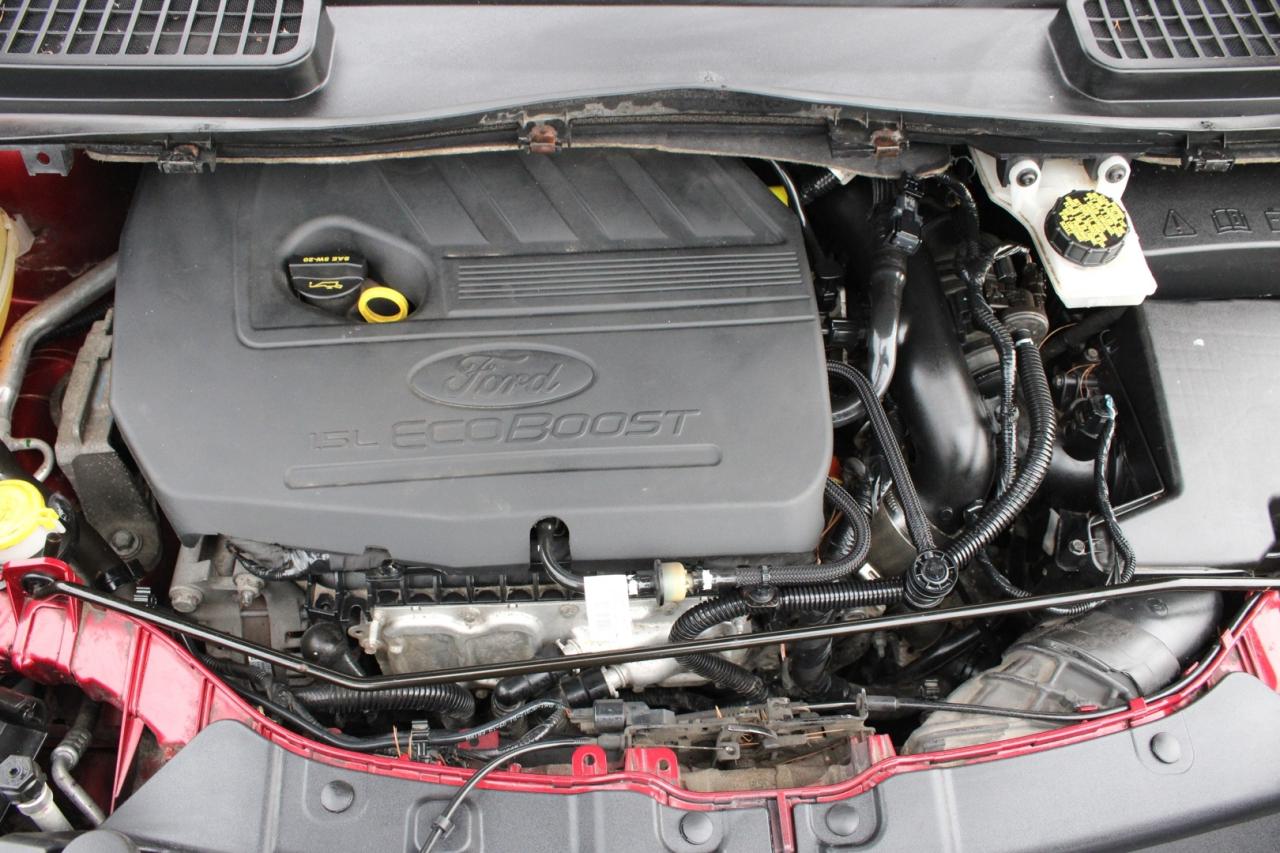 2018 Ford Escape SE 4WD   NO ACCIDENT   SAFEFTY CERTIFIED Photo