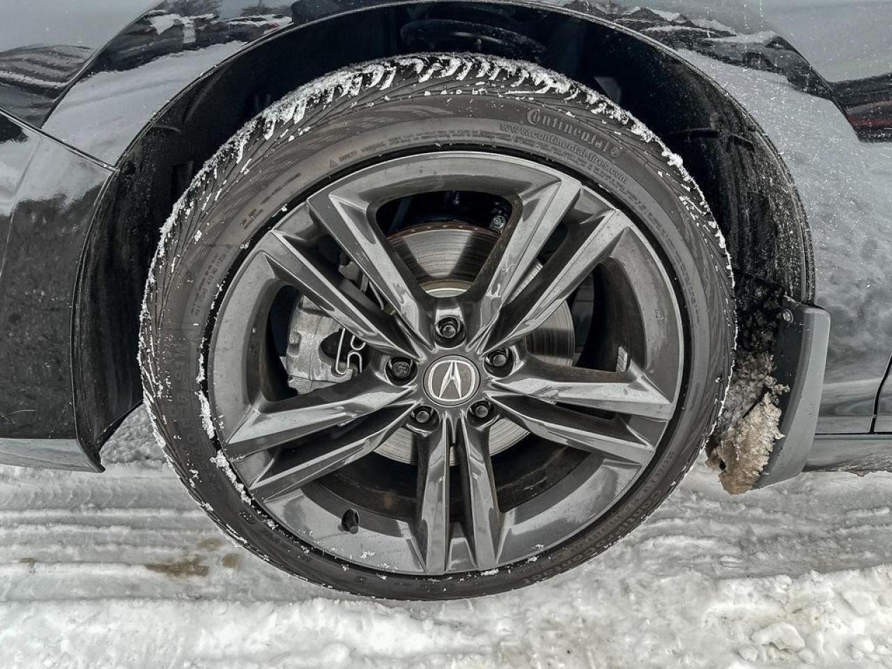 2025 Acura Integra Elite A-Spec Photo