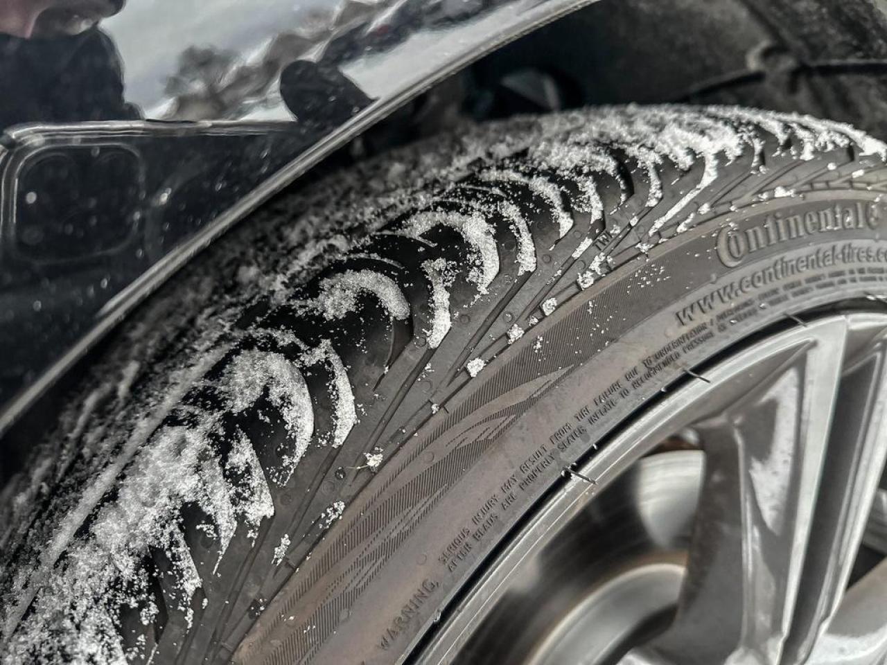 2025 Acura Integra Elite A-Spec Photo