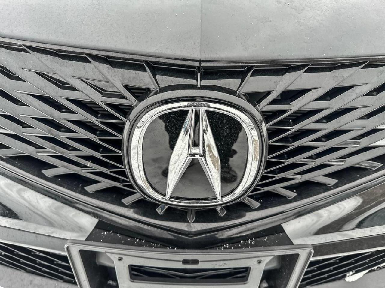 2025 Acura Integra Elite A-Spec Photo