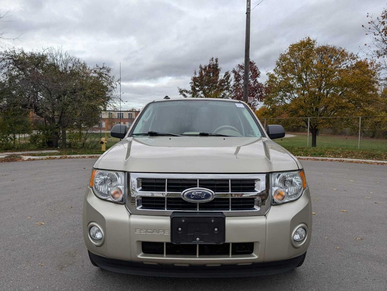 2012 Ford Escape FWD 4dr XLT Accident Free One Owner Photo