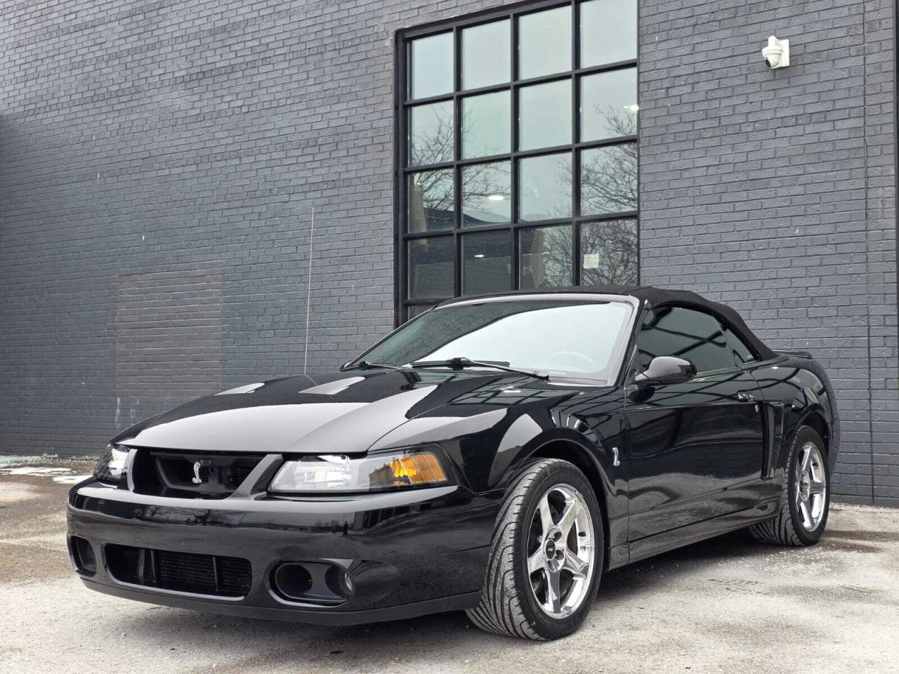 2004 Ford Mustang 2dr Convertible SVT Cobra Photo