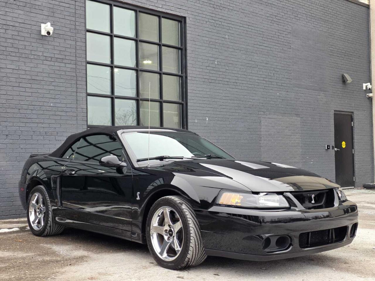 2004 Ford Mustang 2dr Convertible SVT Cobra Photo