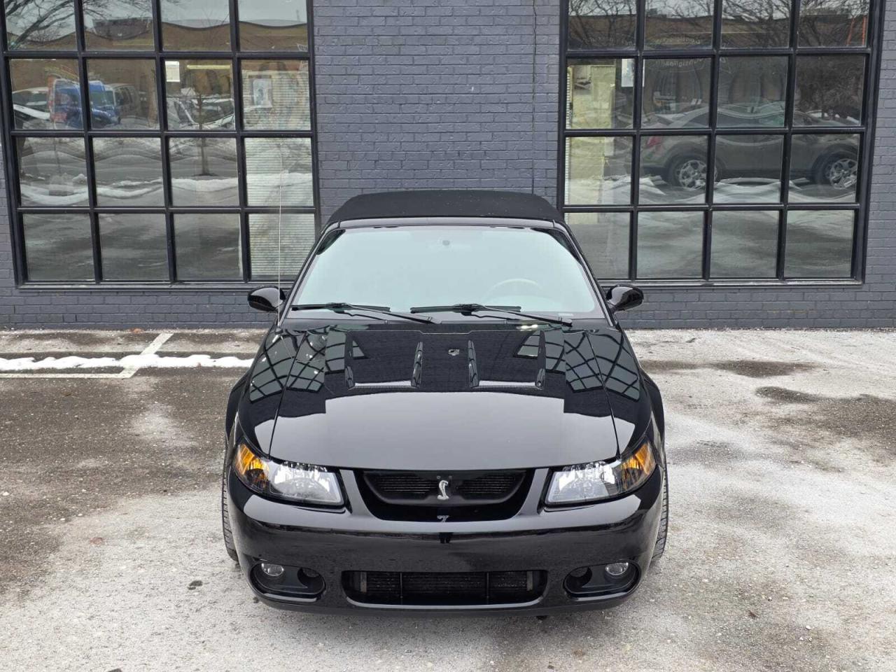 2004 Ford Mustang 2dr Convertible SVT Cobra Photo3