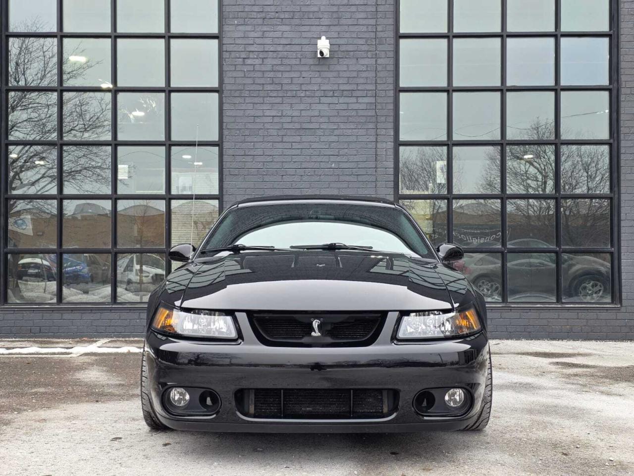 2004 Ford Mustang 2dr Convertible SVT Cobra Photo