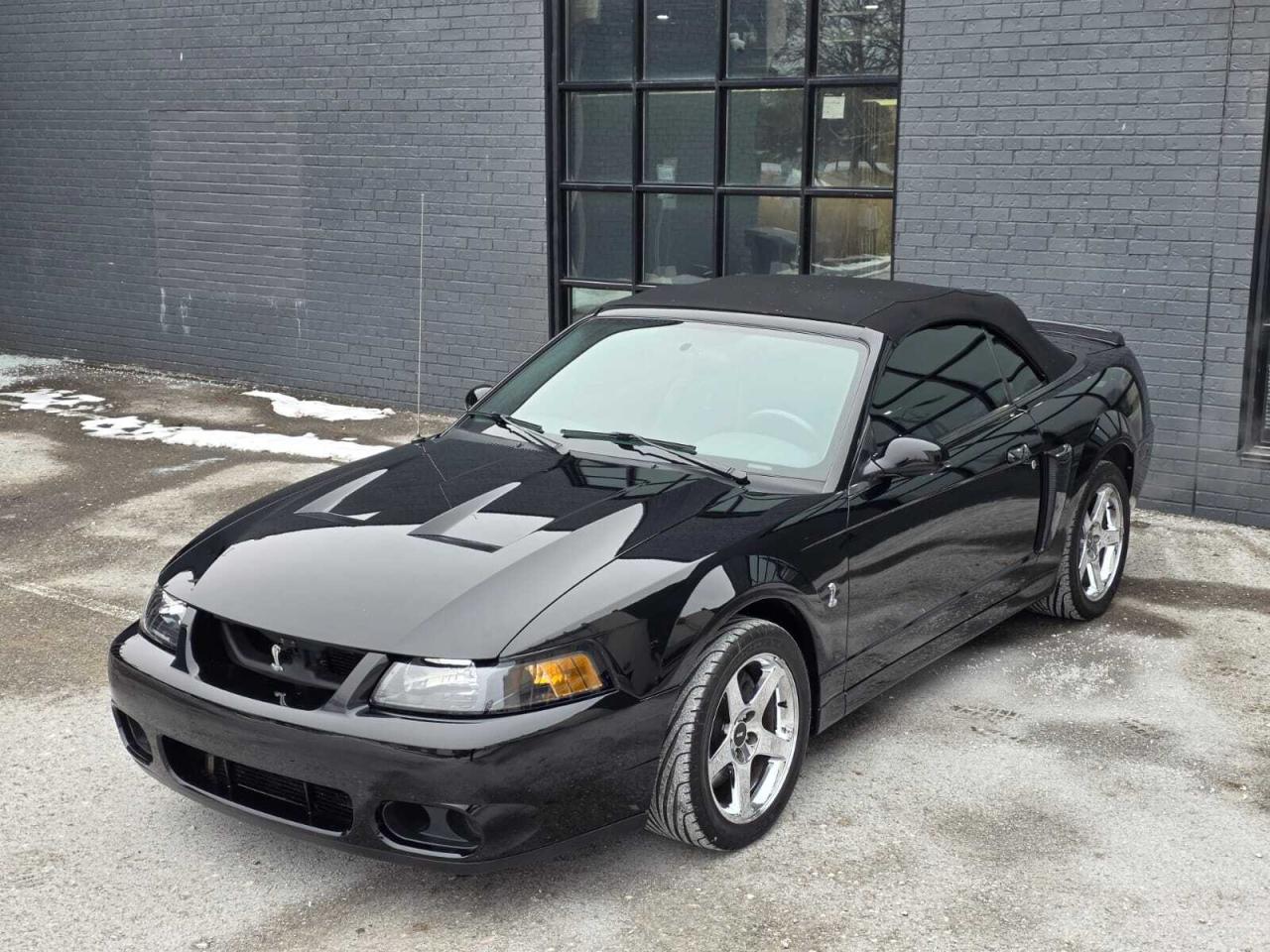 2004 Ford Mustang 2dr Convertible SVT Cobra Photo
