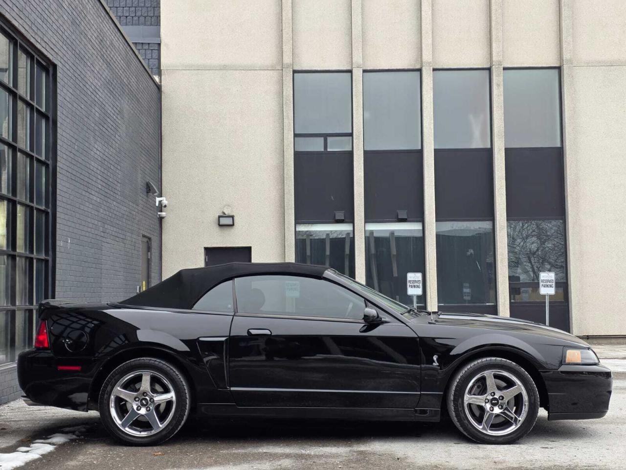2004 Ford Mustang 2dr Convertible SVT Cobra Photo
