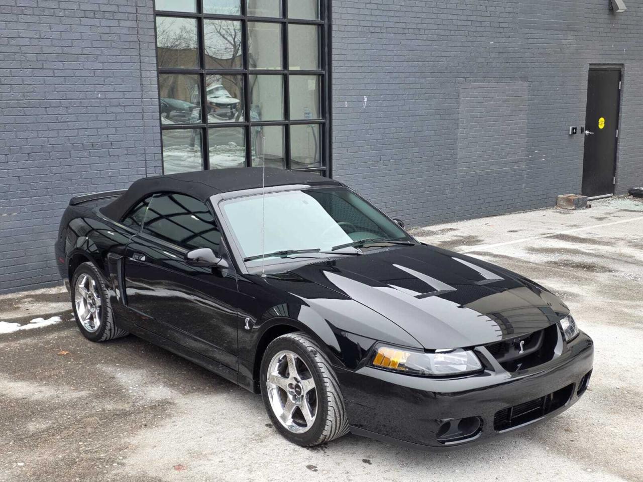 2004 Ford Mustang 2dr Convertible SVT Cobra Photo