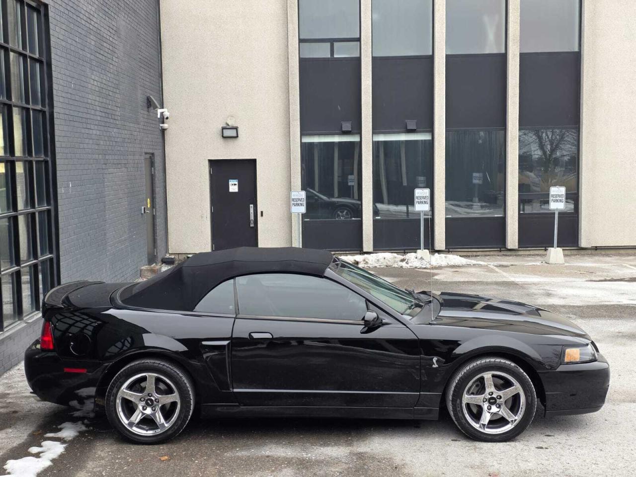 2004 Ford Mustang 2dr Convertible SVT Cobra Photo