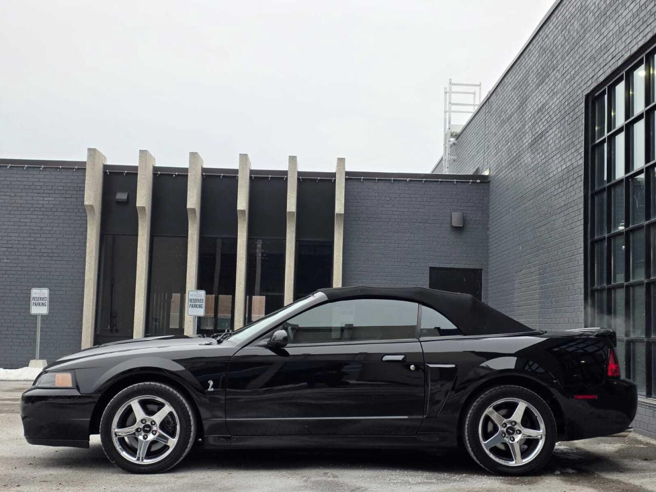 2004 Ford Mustang 2dr Convertible SVT Cobra Photo