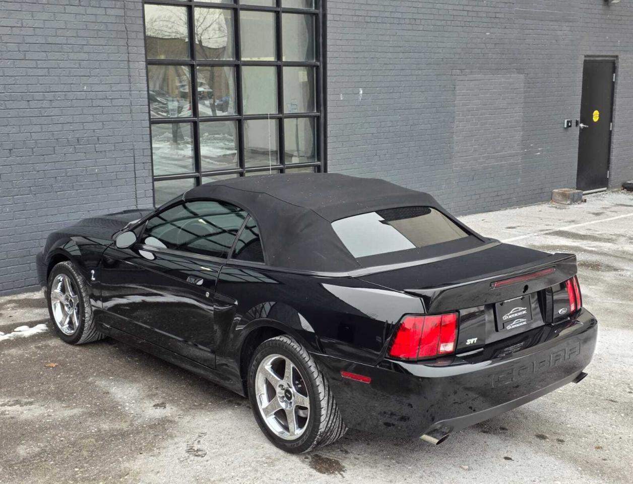 2004 Ford Mustang 2dr Convertible SVT Cobra Photo