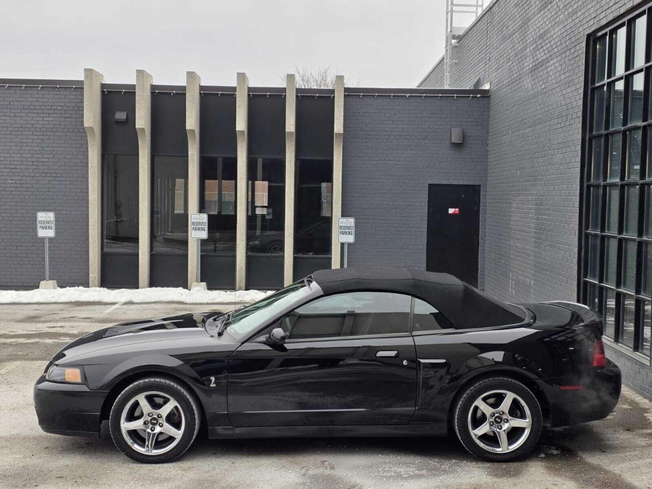 2004 Ford Mustang 2dr Convertible SVT Cobra Photo