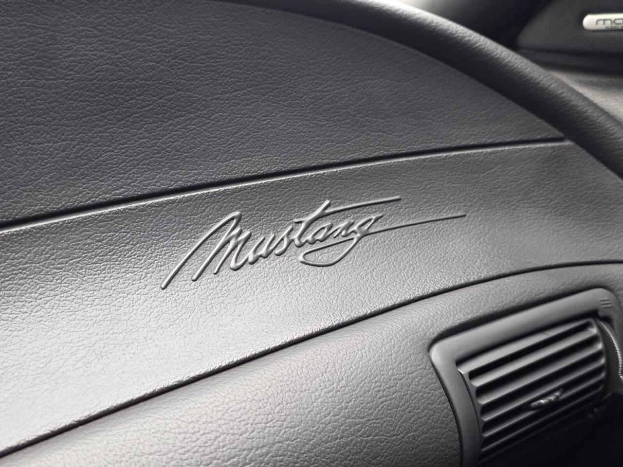 2004 Ford Mustang 2dr Convertible SVT Cobra Photo